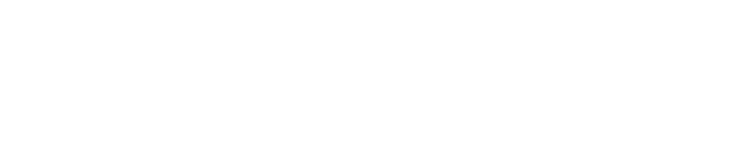 DV Logo